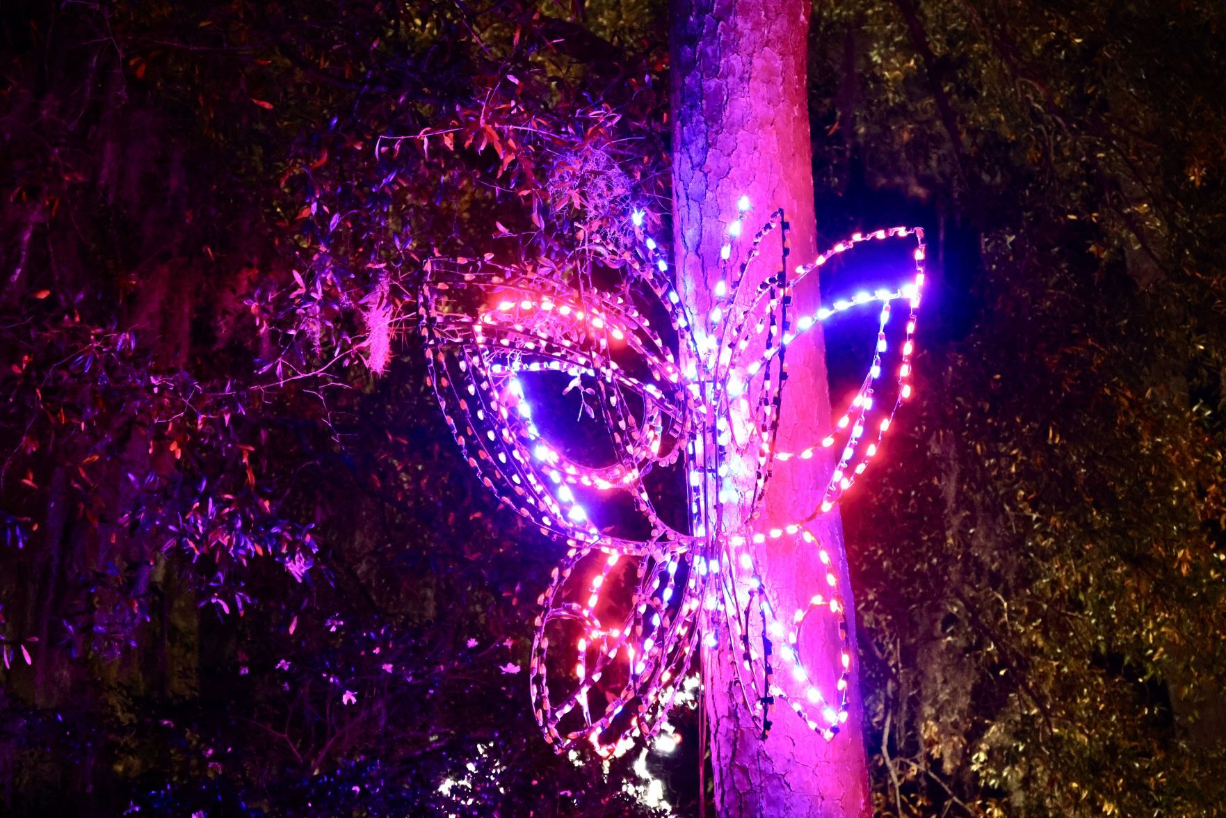 Orangeburg Christmas Lights
